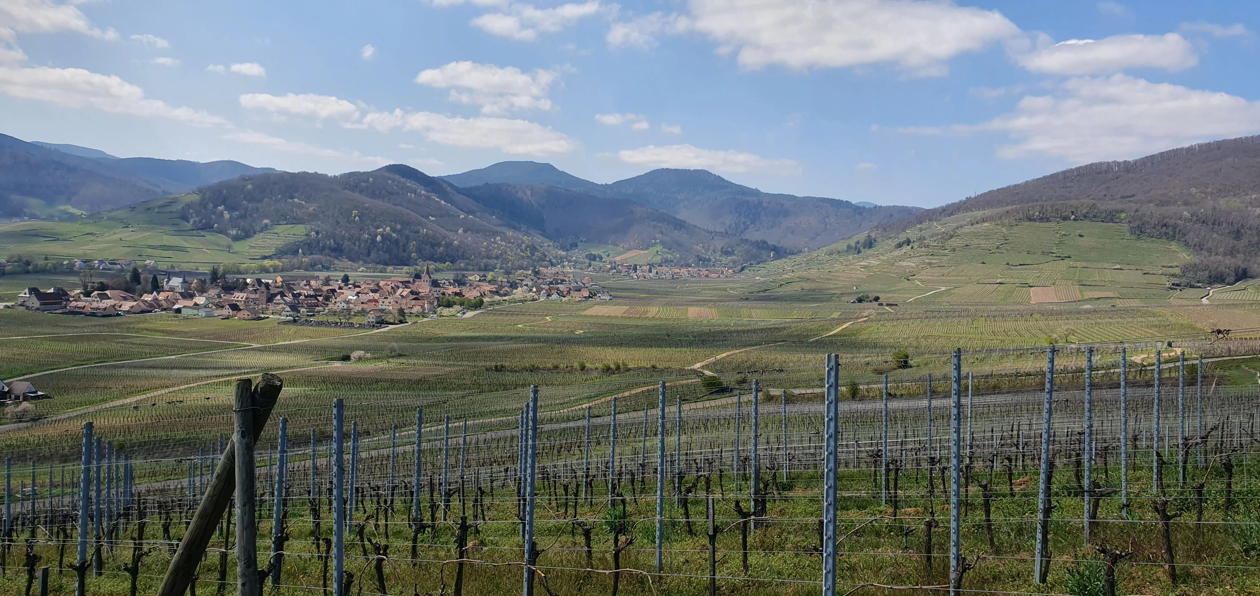 20230409 135938.webp